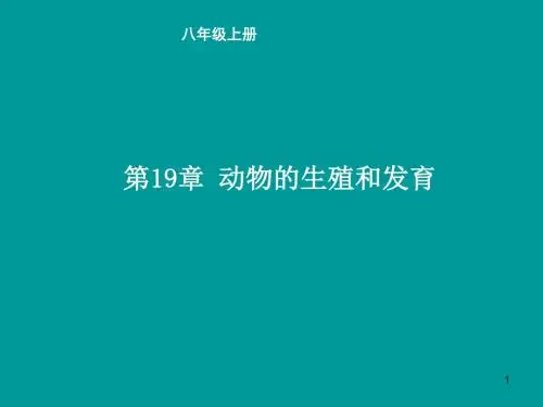 苏科版八年级上册生物《动物的生殖和发育》课件(15张PPT)