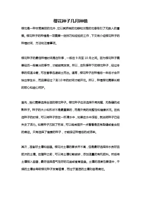 樱花种子几月种植
