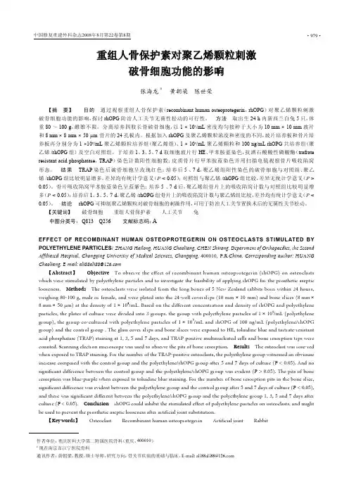 重组人骨保护素对聚乙烯颗粒刺激破骨细胞功能的影响