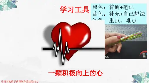 第11讲《情真意切——把握文章情感主旨》课件(共24张PPT)     2023年中考语文二轮复习