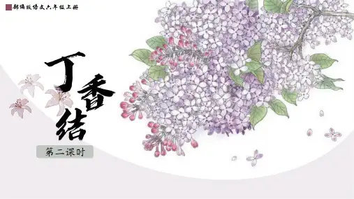部编版六年级语文上册2《丁香结》第二课时课件(共22张PPT)