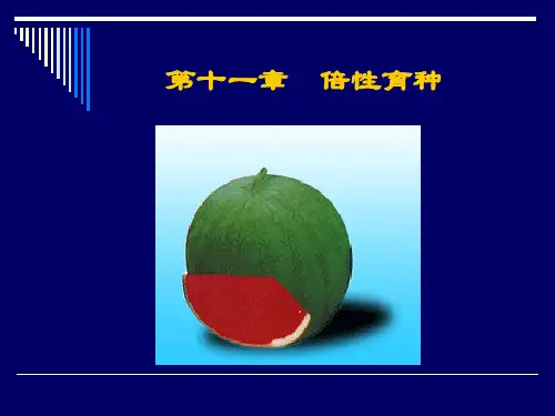 第十一章倍性育种