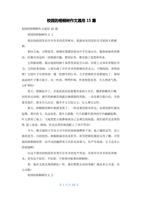 校园的梧桐树作文通用15篇