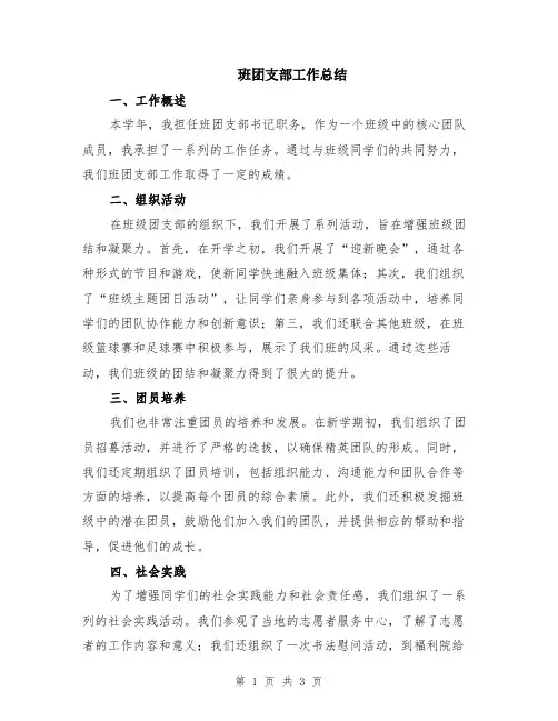 班团支部工作总结