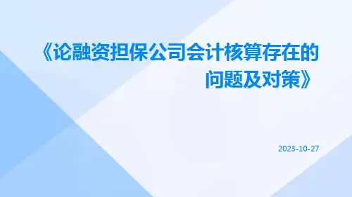 论融资担保公司会计核算存在的问题及对策