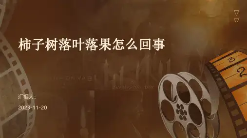 柿子树落叶落果怎么回事
