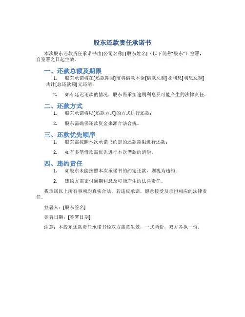 股东还款责任承诺书