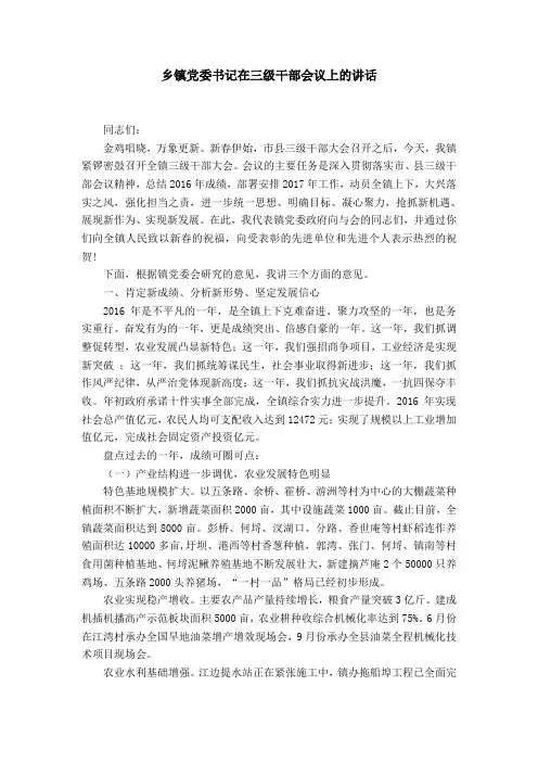 乡镇党委书记在三级干部会议上的讲话word精品模板
