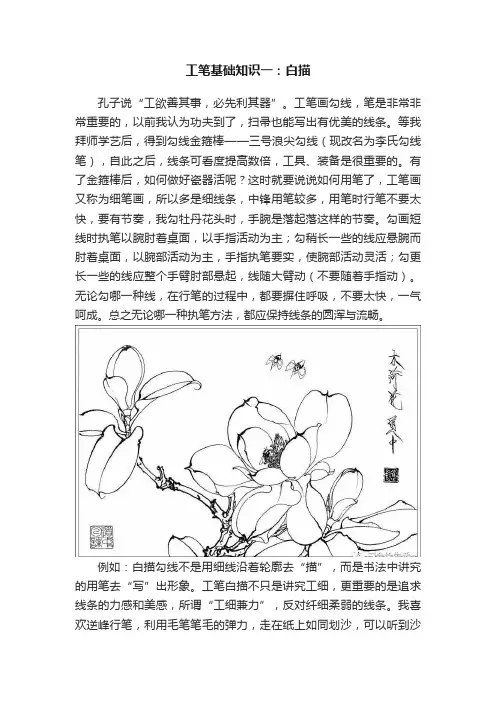 工笔基础知识一：白描