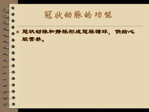 左冠状动脉解剖-文档资料