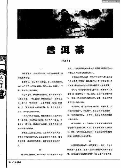 普洱茶