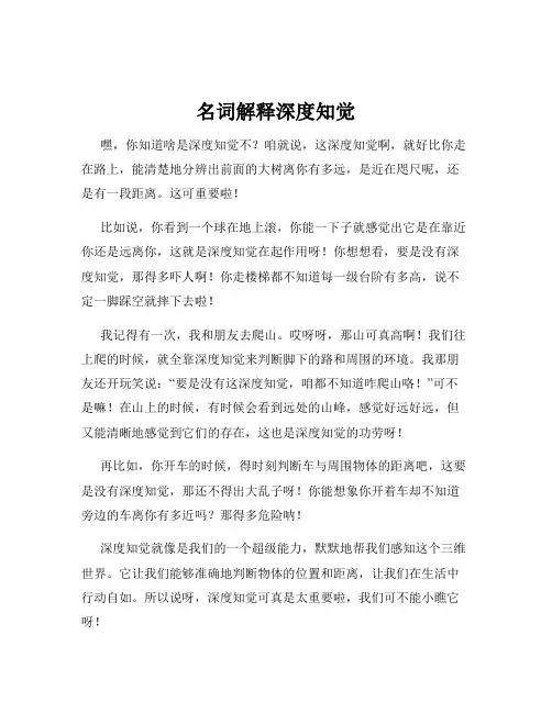 名词解释深度知觉