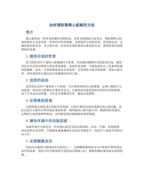 如何预防猫得心脏病的方法