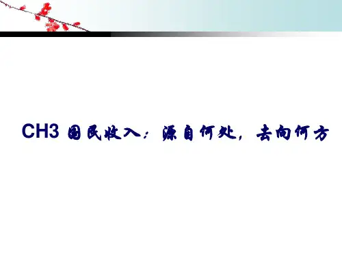 宏观经济学第三章专题知识讲座