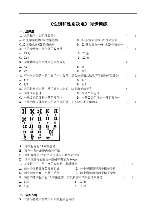 北师大版八年级生物上册练习 20.4 性别和性别决定同步练习