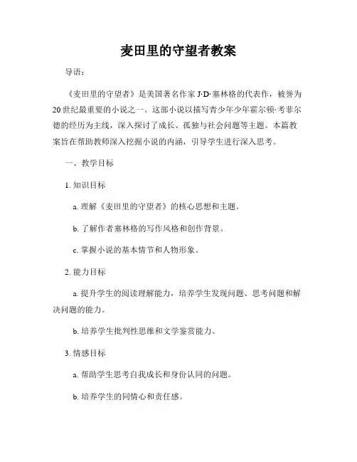 麦田里的守望者教案