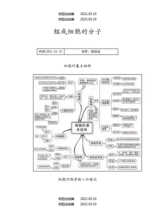 高中生物20张思维导图(可直接打印)之欧阳法创编