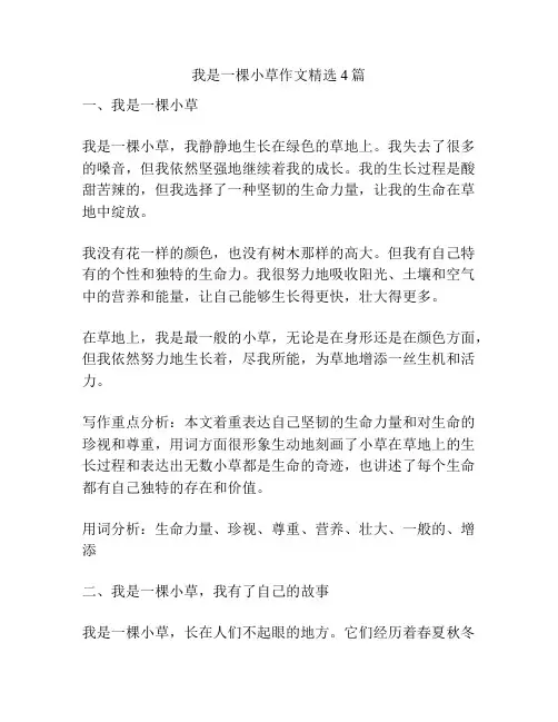 我是一棵小草作文精选4篇