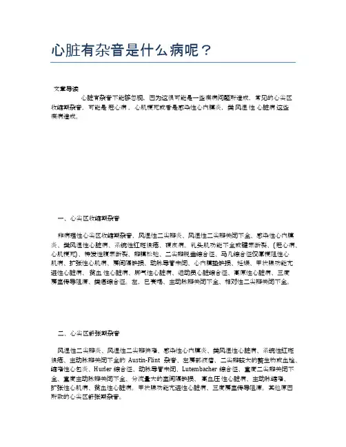 心脏有杂音是什么病呢？【医学养生常识】