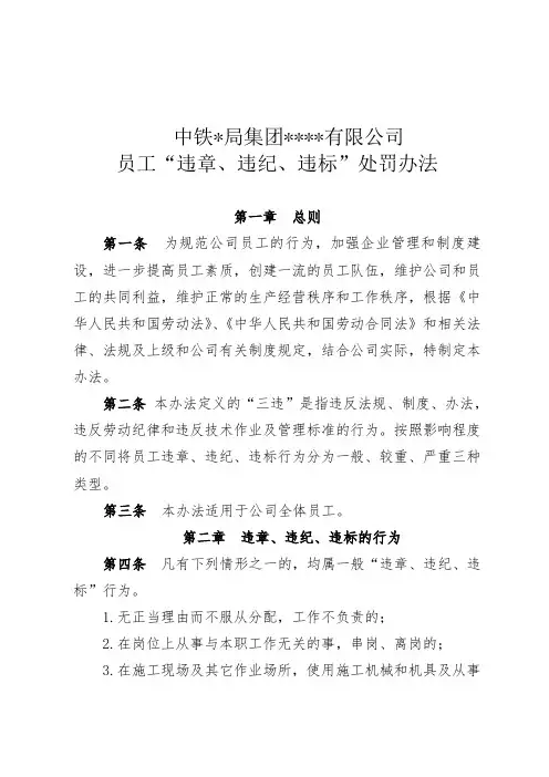 违章、违纪、违标处罚办法(2009年)