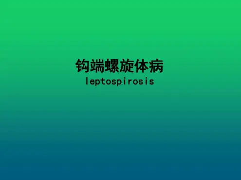钩端螺旋体病的诊断与治疗_2023年学习资料