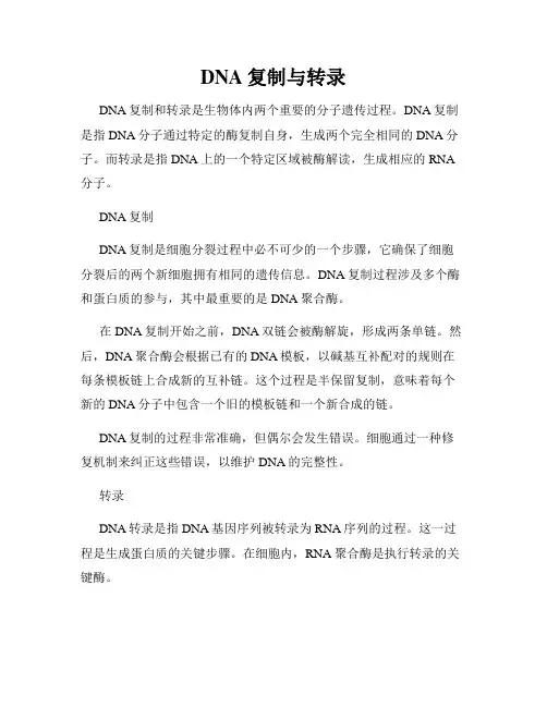 DNA复制与转录