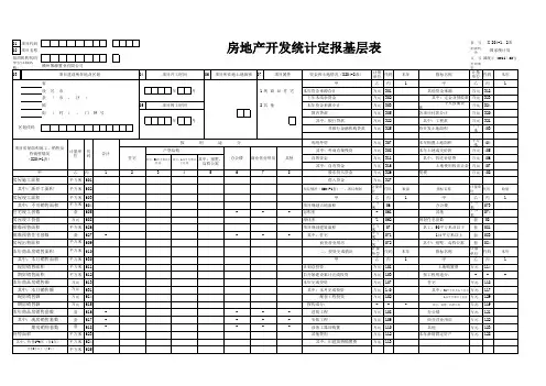 房地产开发统计定报基层表