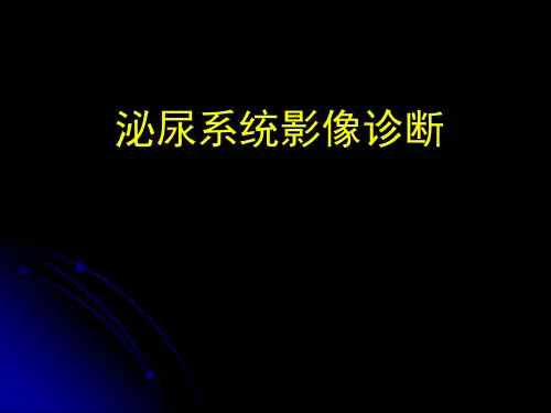 医学影像学课件-泌尿系统影像诊断