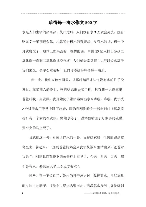 珍惜每一滴水作文500字