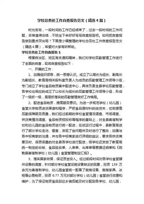 学校总务处工作自查报告范文（精选4篇）