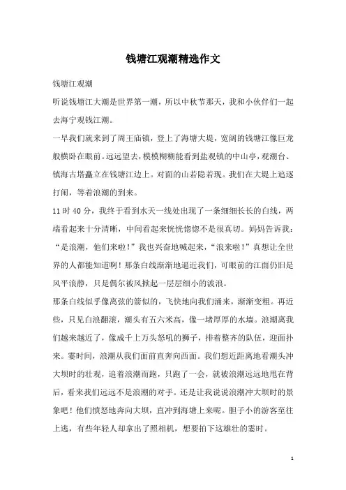 钱塘江观潮精选作文_1