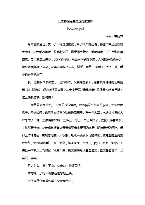父亲的阳光董改正阅读赏析