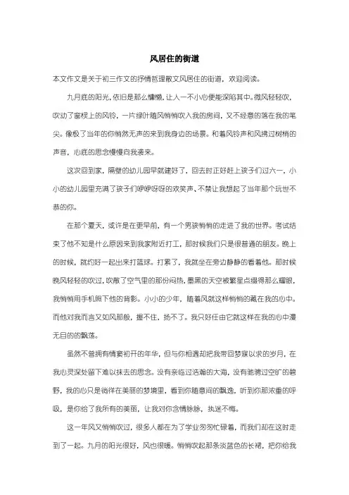 初中初三作文抒情哲理散文：风居住的街道