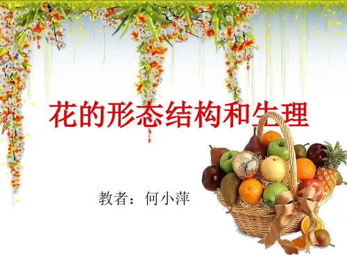 花的形态结构和生理