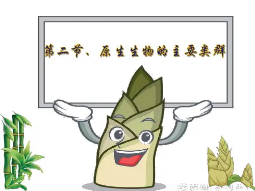 第二节原生生物的主要类群 课件北师大版生物八年级下册