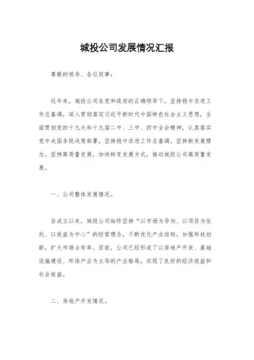 城投公司发展情况汇报