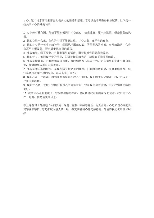 寸心的唯美句子