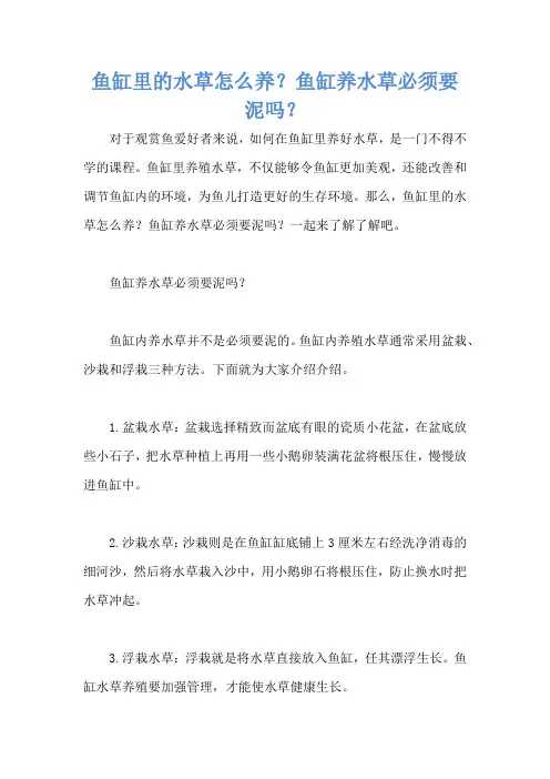 鱼缸里的水草怎么养？鱼缸养水草必须要泥吗？