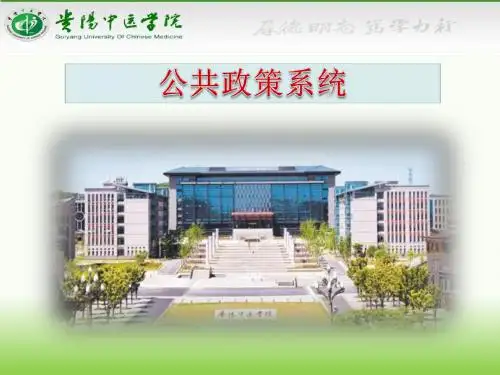 授课PPT(公共政策系统)