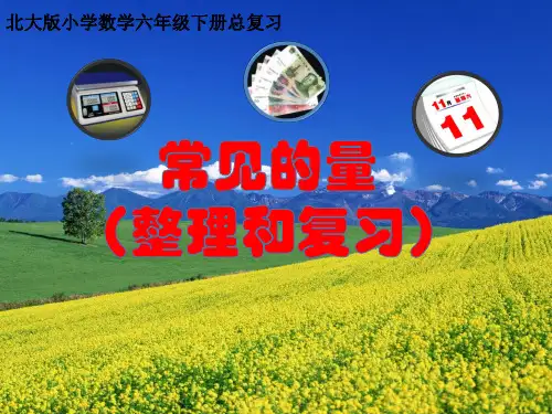 常见的量 复习(课件)六年级下册数学北师大版