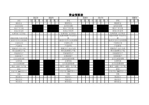 ITMC企业管理沙盘 资金预算表