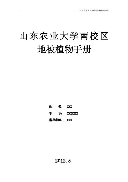 山东农大南校区地被植物(部分)手册