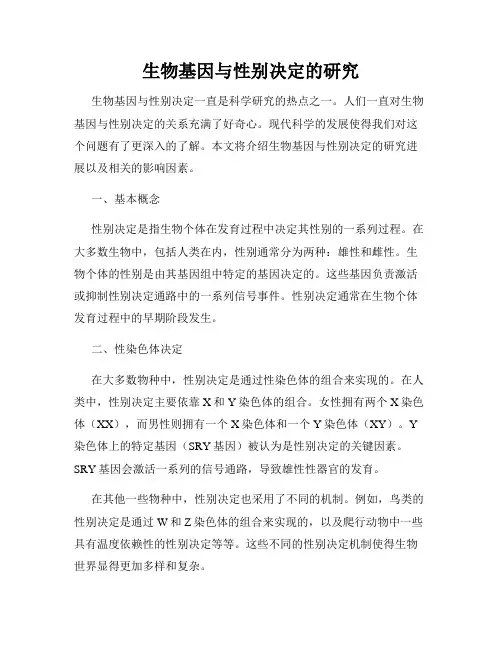 生物基因与性别决定的研究