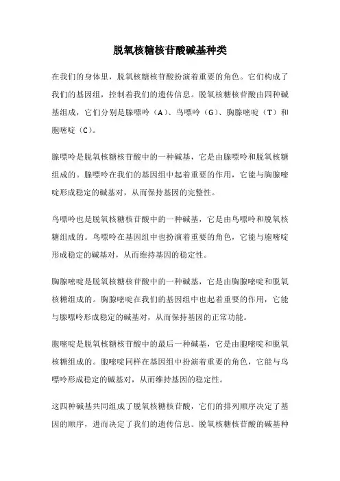 脱氧核糖核苷酸碱基种类
