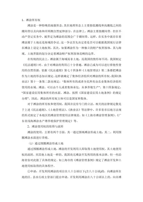 滩涂所有权