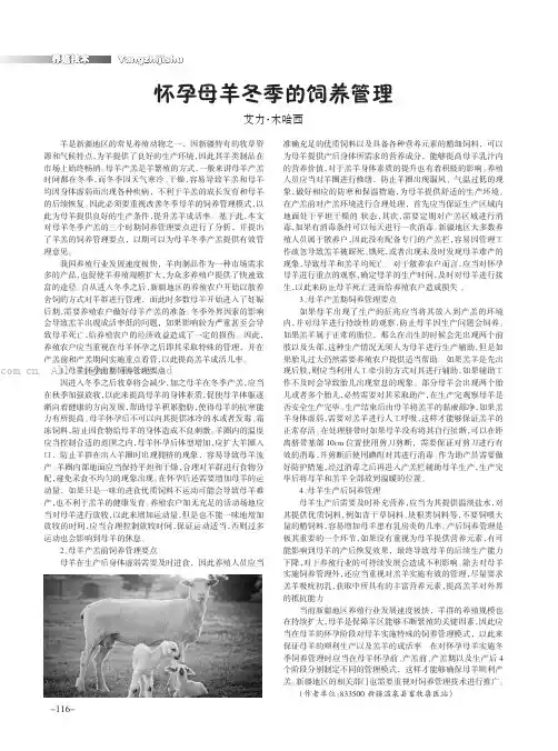 怀孕母羊冬季的饲养管理