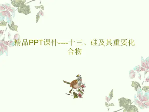 精品PPT课件----十三、硅及其重要化合物共24页