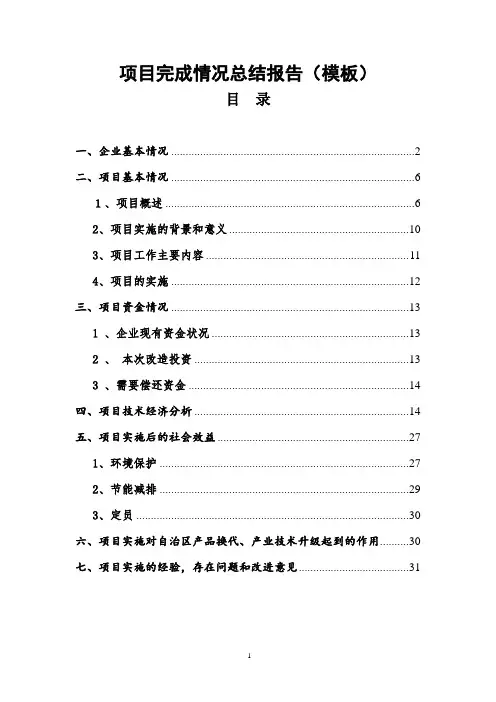 项目完成情况总结报告(模板)