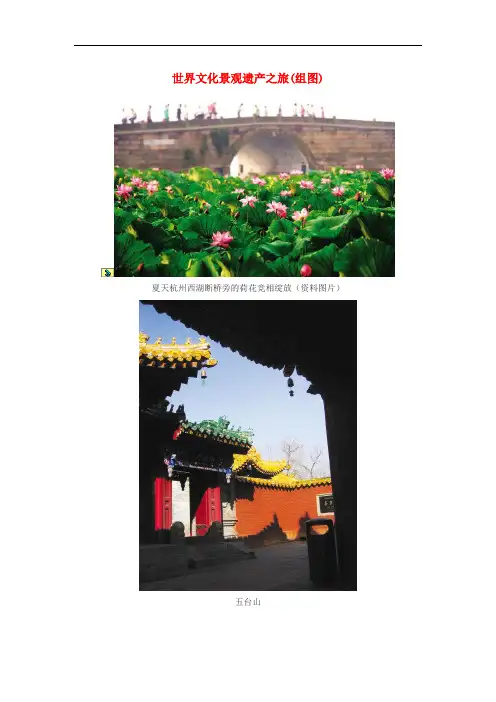 八年级政治上册 第三单元 第五课 多元文化“地球村”世界文化景观遗产之旅(组图)素材 新人教版