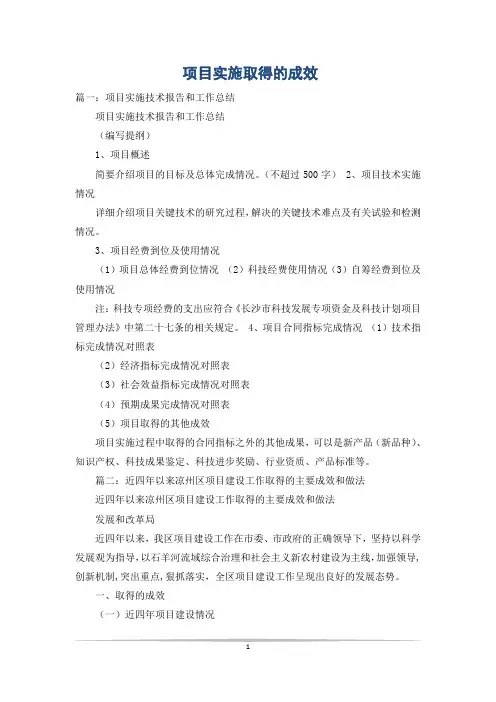 项目实施取得的成效